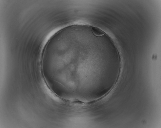 X0000111031248200906251257