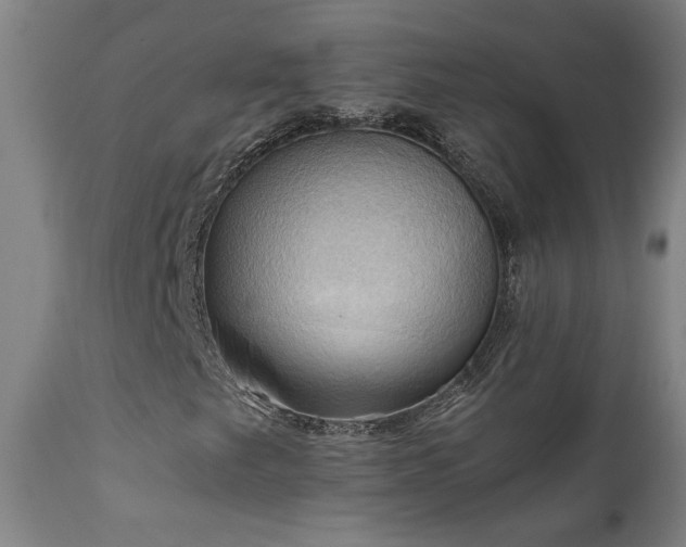 X0000111031249200906251257