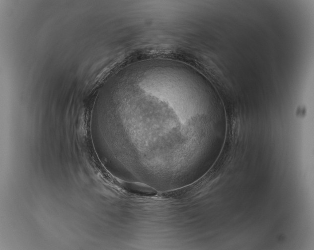 X0000111031250200906251257