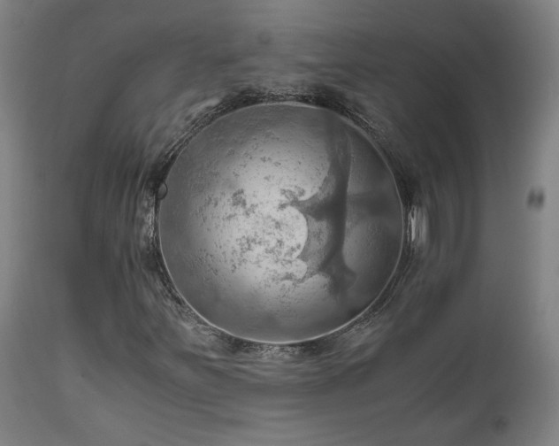 X0000111031251200906251257