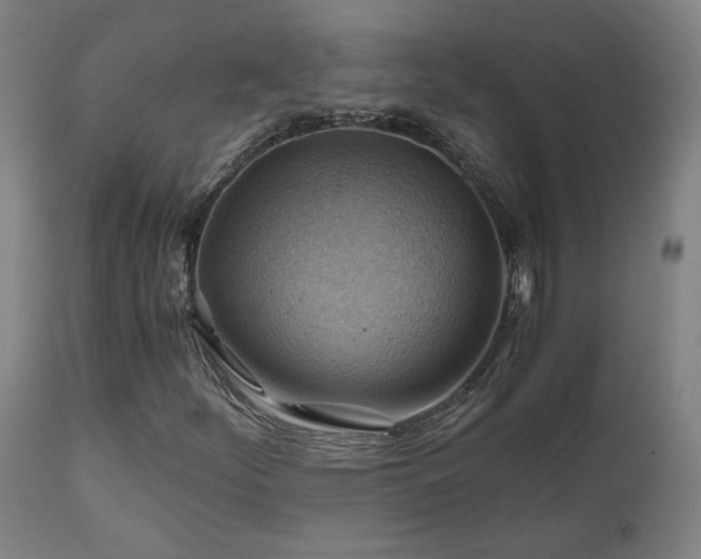 X0000111031252200906251257