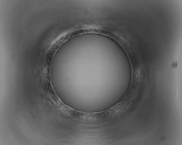 X0000111031254200906251257