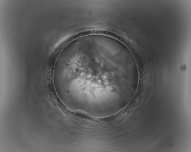 X0000111031255200906251257