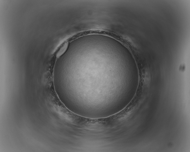 X0000111031256200906251257