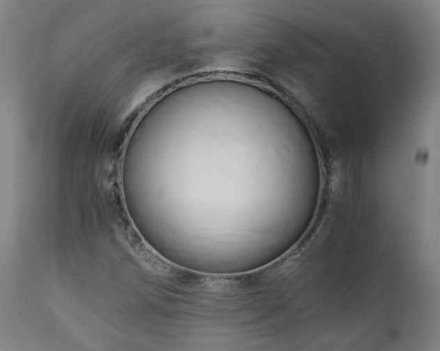 X0000111031258200906251257