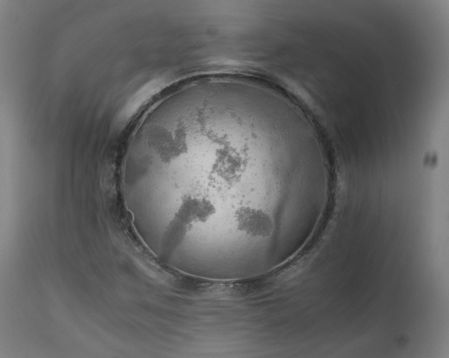 X0000111031259200906251257