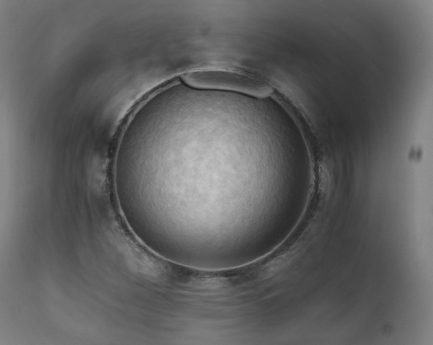 X0000111031260200906251257