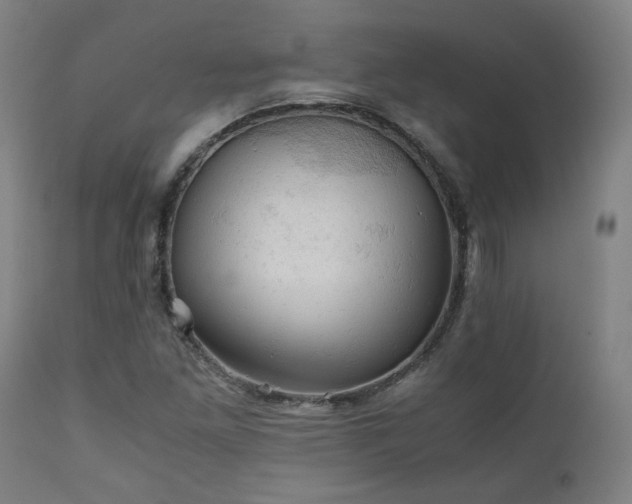 X0000111031261200906251257