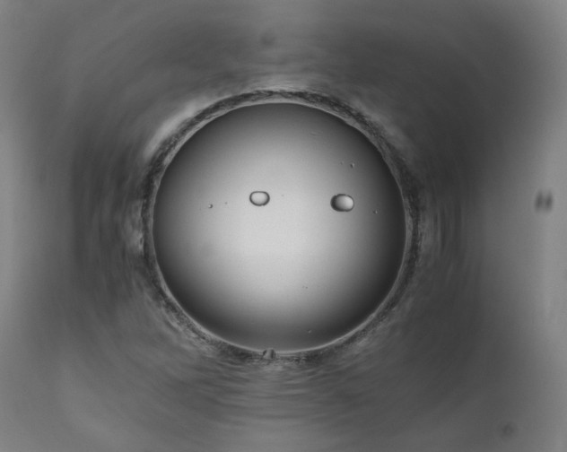 X0000111031262200906251257