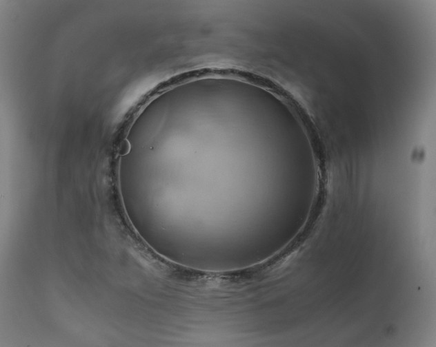 X0000111031263200906251257
