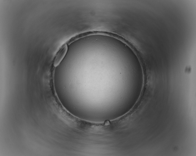 X0000111031264200906251257