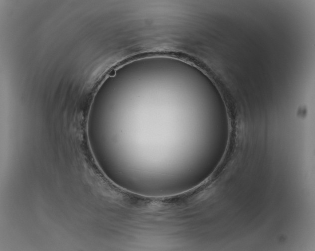 X0000111031265200906251257