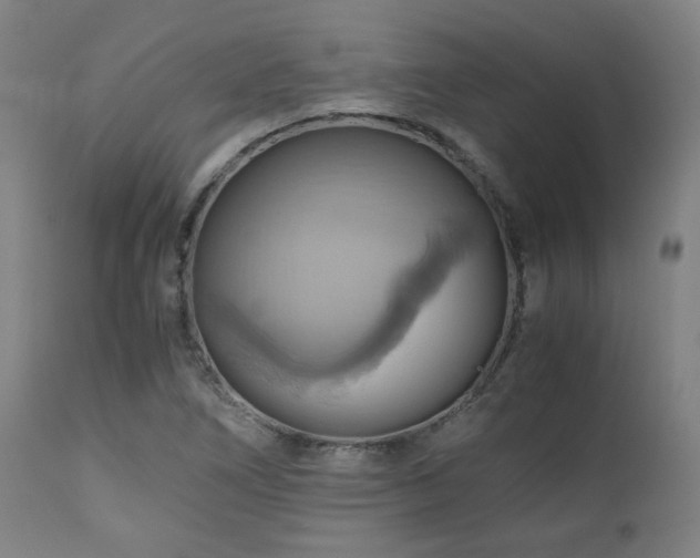 X0000111031266200906251257
