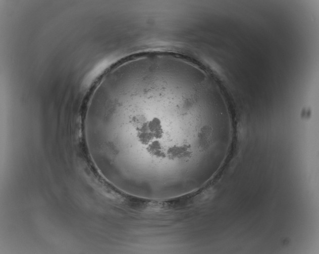 X0000111031267200906251257