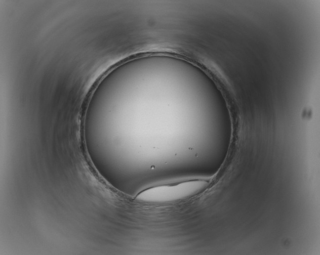 X0000111031268200906251257
