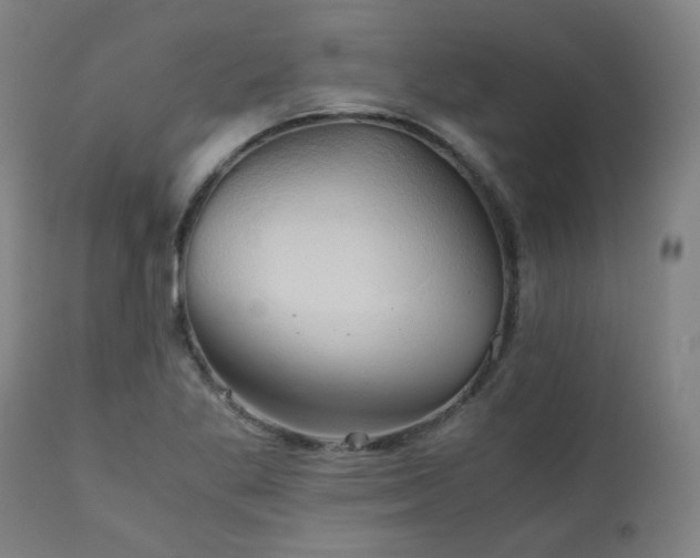 X0000111031269200906251257