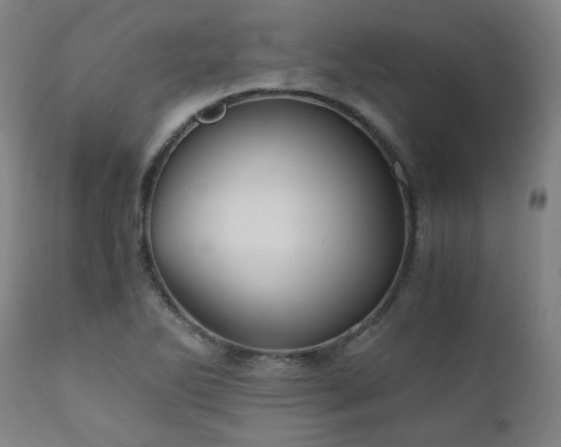 X0000111031270200906251257