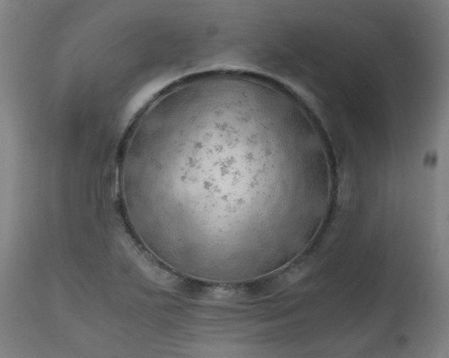 X0000111031271200906251257