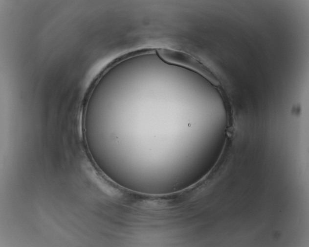X0000111031272200906251257