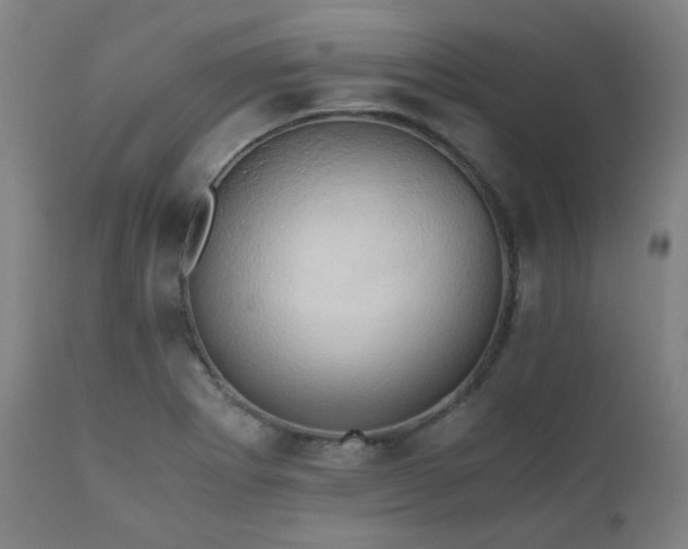 X0000111031273200906251257