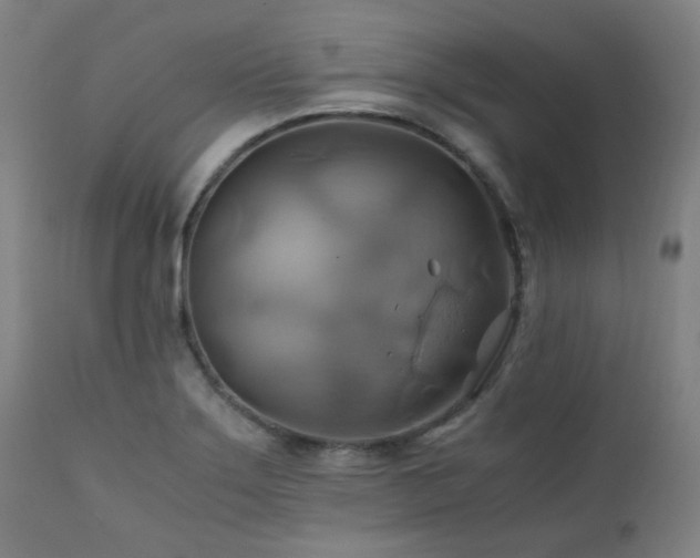 X0000111031275200906251256