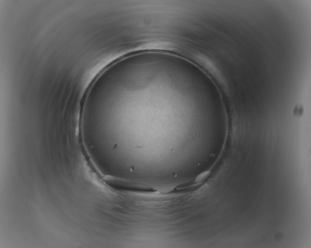 X0000111031276200906251256
