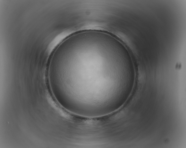X0000111031277200906251256