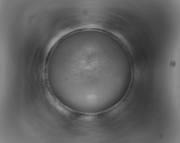 X0000111031278200906251256