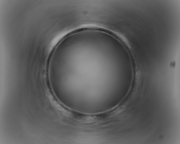 X0000111031279200906251256