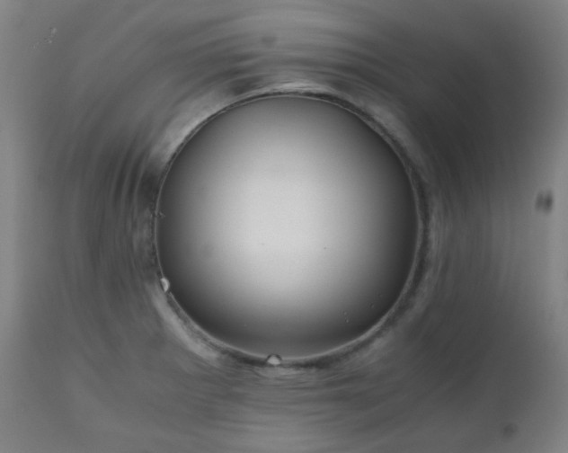 X0000111031281200906251256