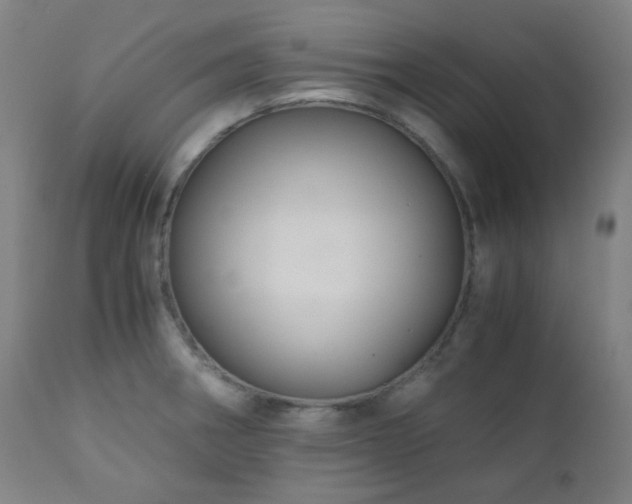 X0000111031282200906251256
