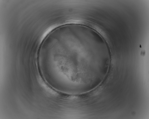 X0000111031283200906251256