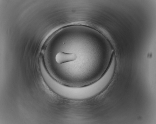 X0000111031284200906251256