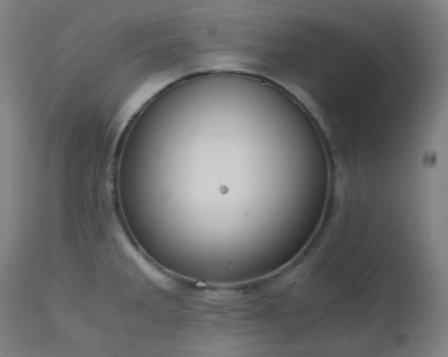 X0000111031285200906251256
