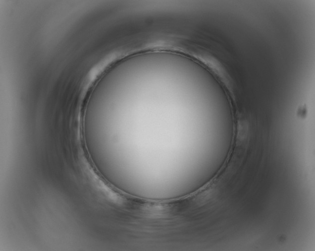 X0000111031286200906251256