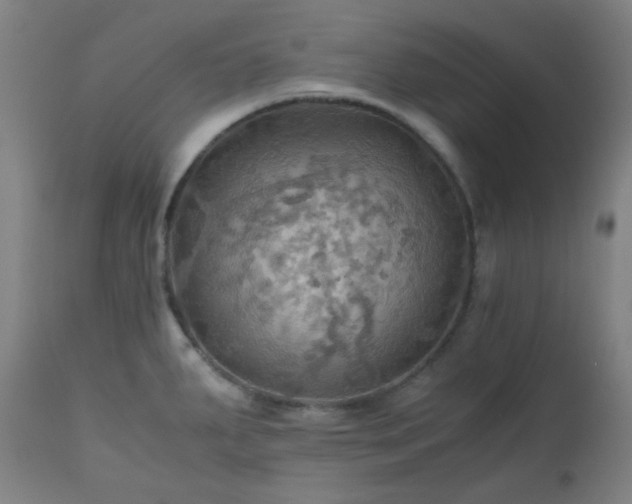 X0000111031287200906251256