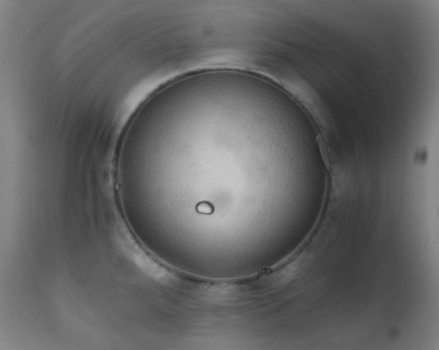 X0000111031288200906251256