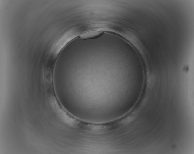 X0000111031289200906251256