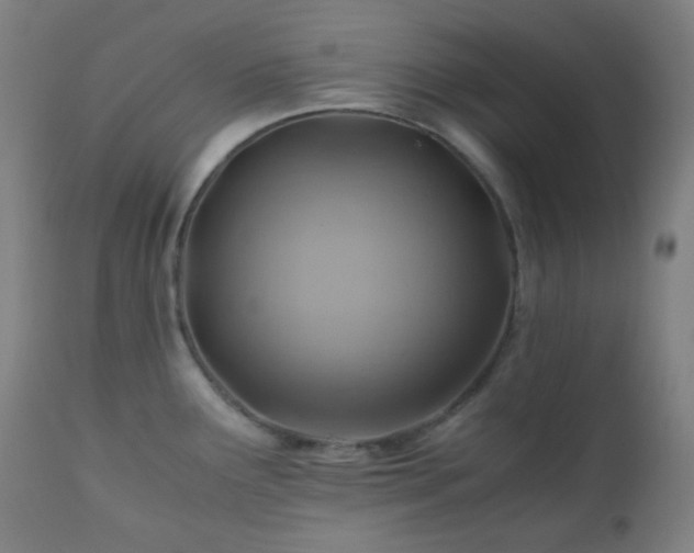 X0000111031291200906251256