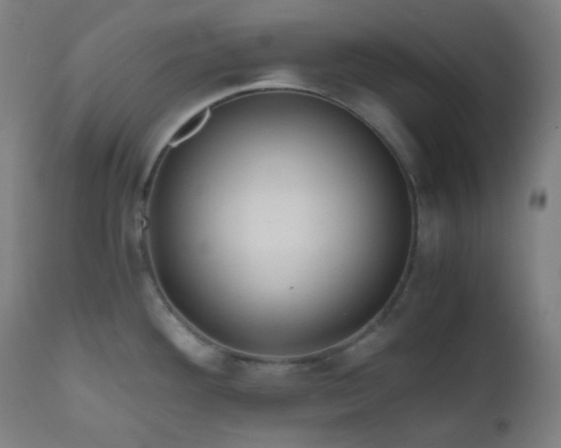 X0000111031292200906251256