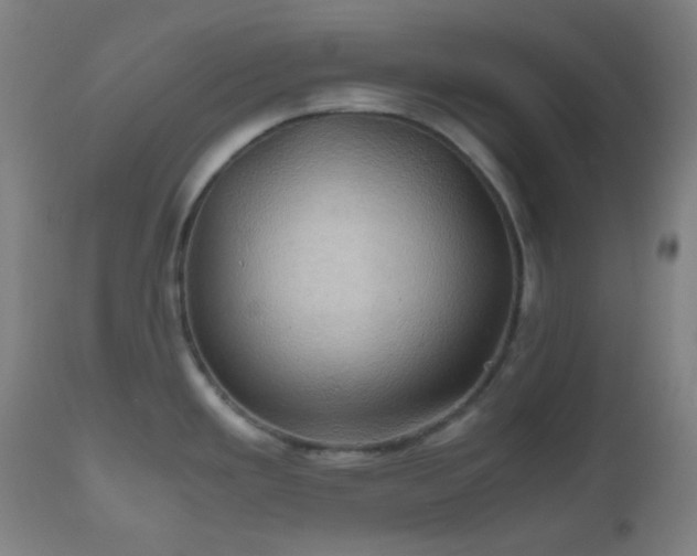 X0000111031293200906251256