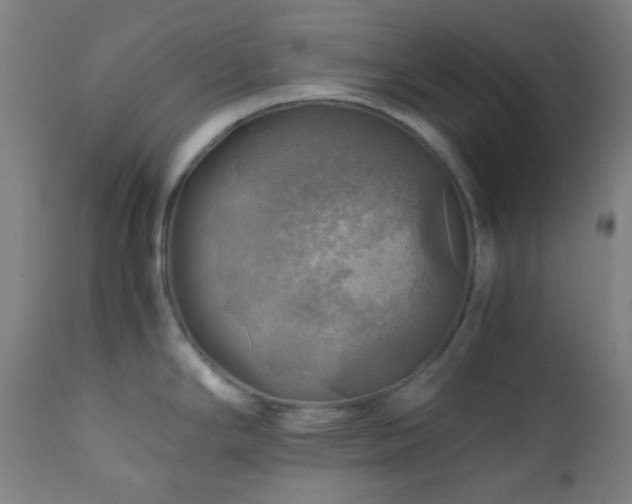 X0000111031294200906251256