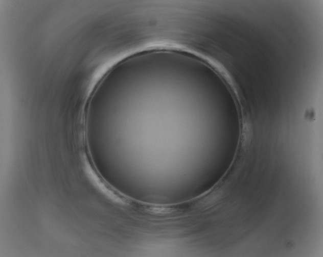 X0000111031295200906251256