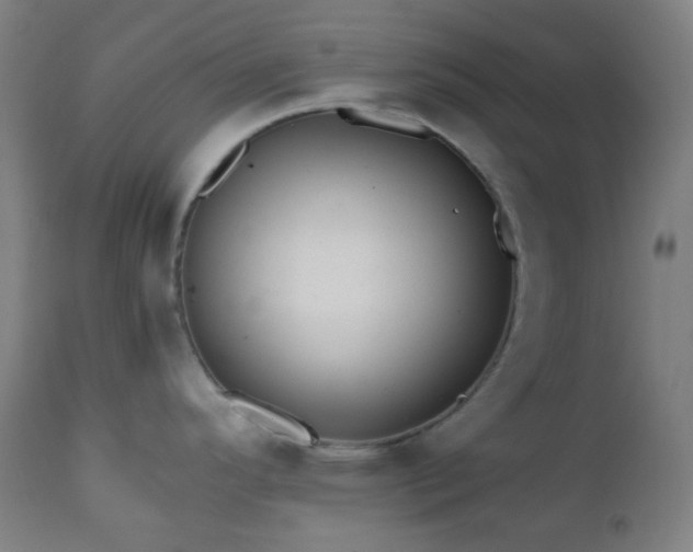 X0000111031296200906251256