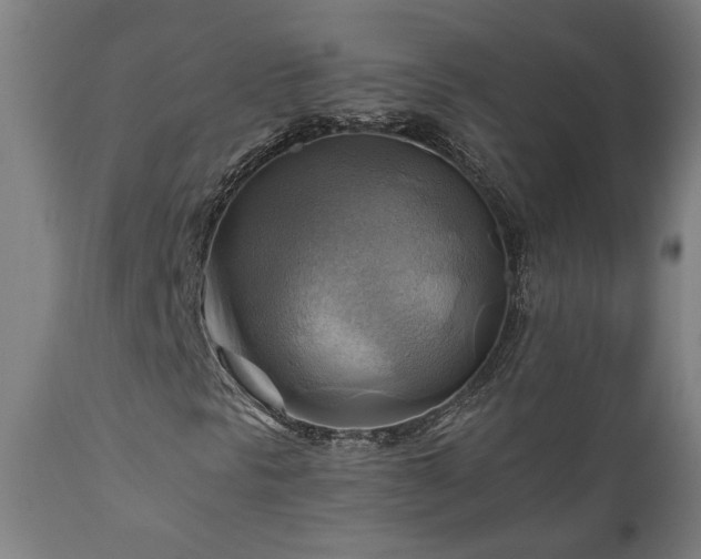 X0000111031297200906251255