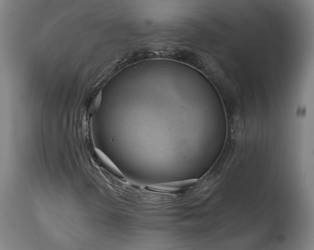 X0000111031298200906251255