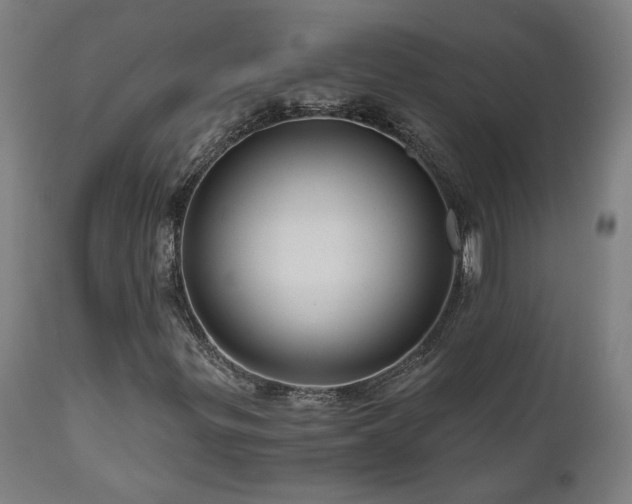 X0000111031299200906251255