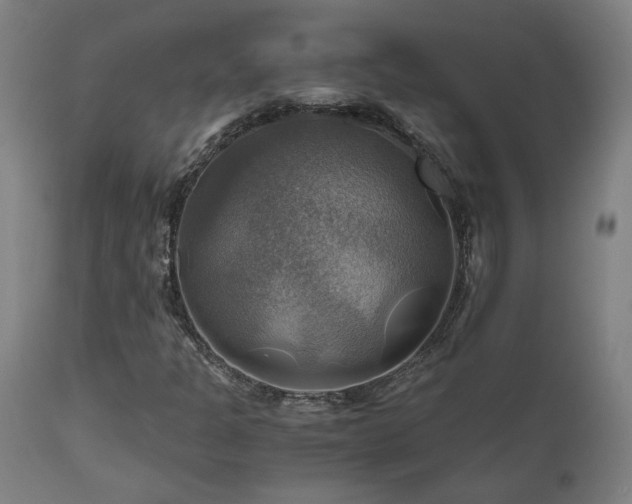 X0000111031301200906251255