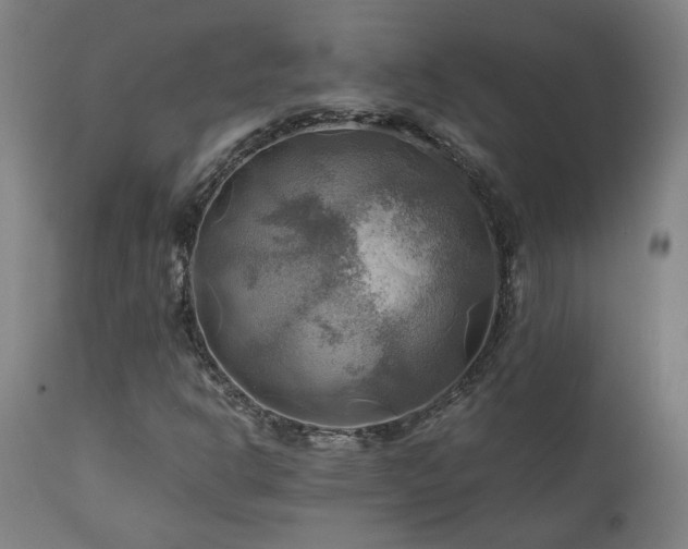 X0000111031302200906251255