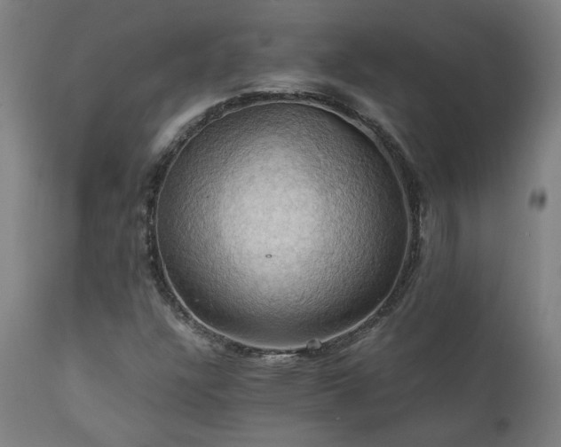 X0000111031304200906251255